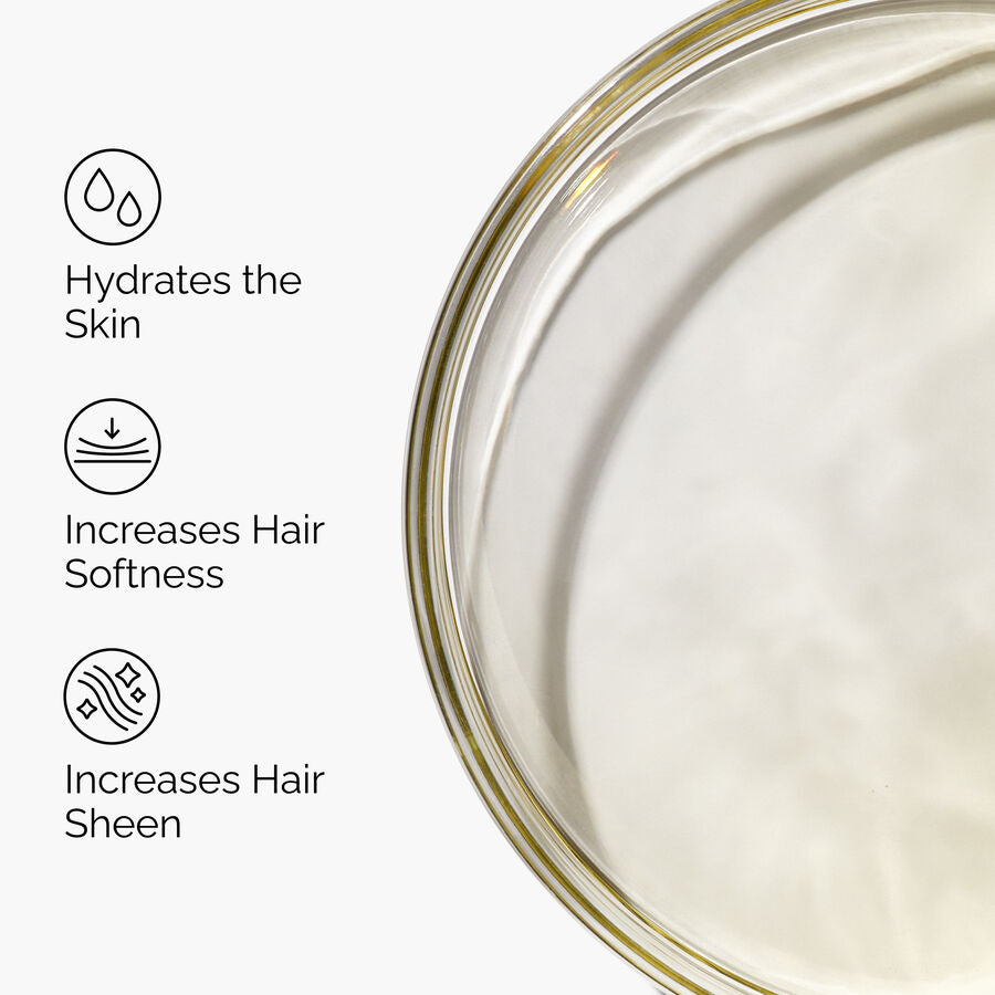 100% Organic Cold-Pressed Moroccan Argan Oil A6 image 5