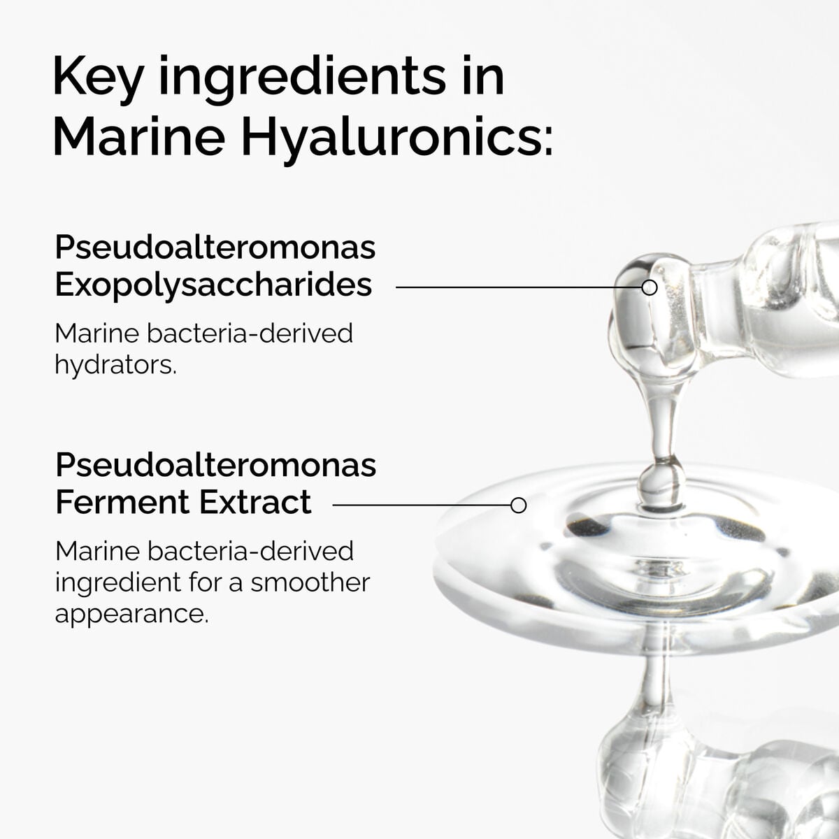 Marine Hyaluronics Q2 image 8