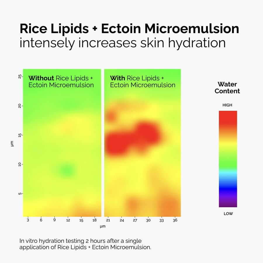 Rice Lipids + Ectoin Microemulsion L1 image 6